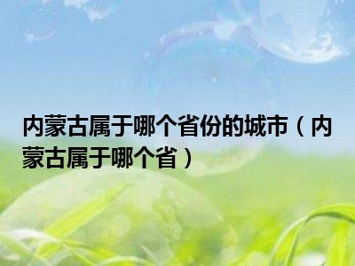 内蒙古属于哪个省份的城市（内蒙古属于哪个省）