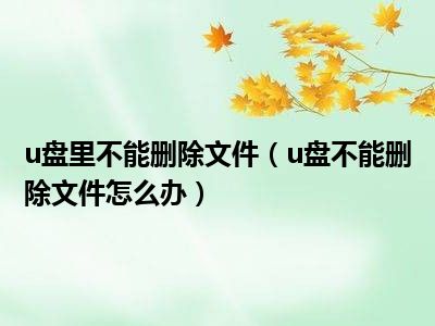 u盘里不能删除文件（u盘不能删除文件怎么办）