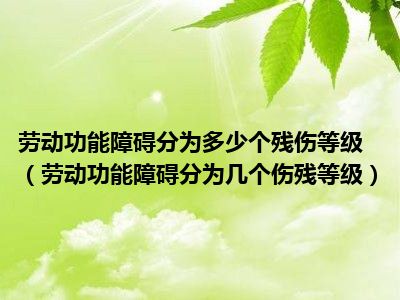 劳动功能障碍分为多少个残伤等级（劳动功能障碍分为几个伤残等级）