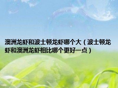 澳洲龙虾和波士顿龙虾哪个大（波士顿龙虾和澳洲龙虾相比哪个更好一点）