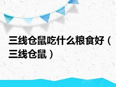 三线仓鼠吃什么粮食好（三线仓鼠）