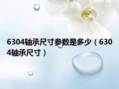 6304轴承尺寸参数是多少（6304轴承尺寸）