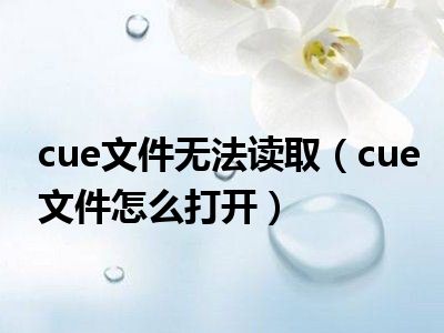 cue文件无法读取（cue文件怎么打开）