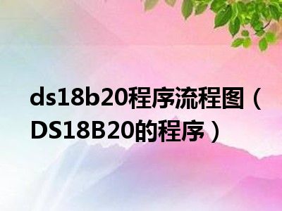 ds18b20程序流程图（DS18B20的程序）