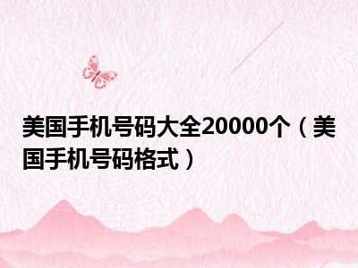 美国手机号码大全20000个（美国手机号码格式）