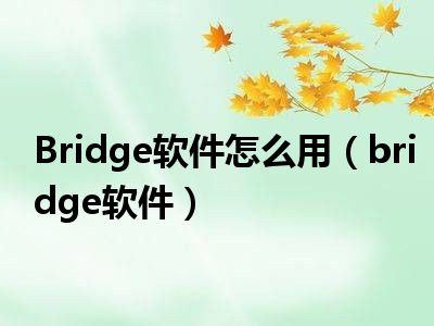 Bridge软件怎么用（bridge软件）