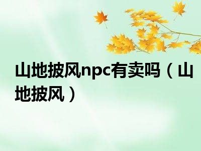 山地披风npc有卖吗