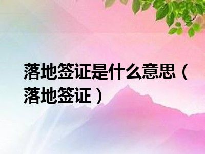 落地签证是什么意思