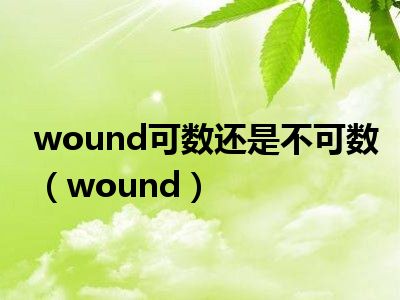 wound可数还是不可数