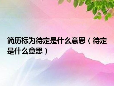 简历标为待定是什么意思