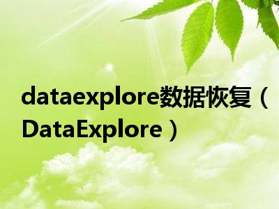 dataexplore数据恢复