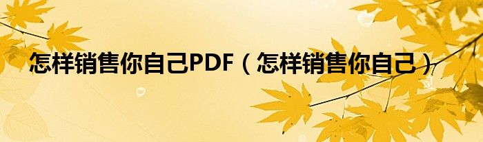  怎样销售你自己PDF