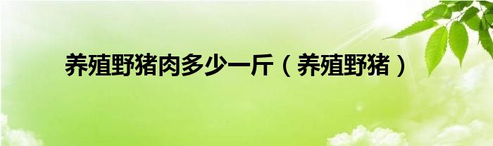  养殖野猪肉多少一斤