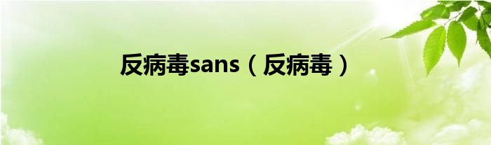  反病毒sans