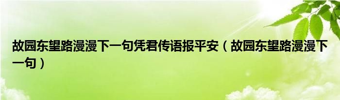  故园东望路漫漫下一句凭君传语报平安