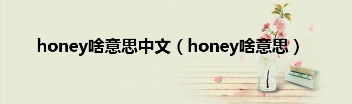  honey啥意思中文