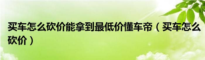  买车怎么砍价能拿到最低价懂车帝