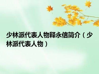 少林派代表人物释永信简介