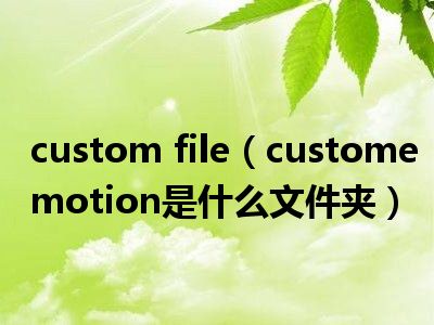 custom file