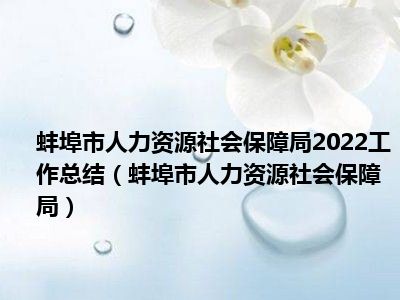 蚌埠市人力资源社会保障局2022工作总结