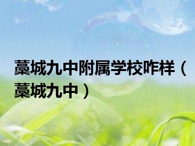 藁城九中附属学校咋样