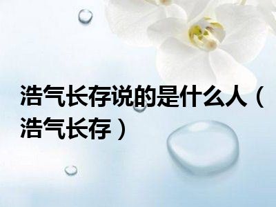 浩气长存说的是什么人