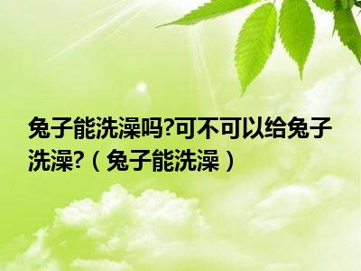 兔子能洗澡吗 可不可以给兔子洗澡