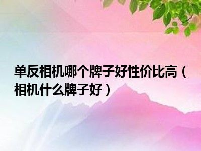 单反相机哪个牌子好性价比高