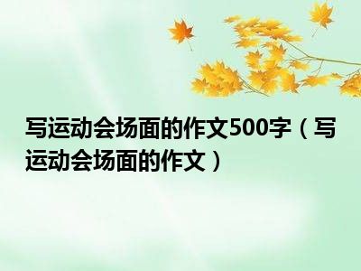 写运动会场面的作文500字