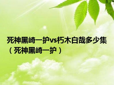 死神黑崎一护vs朽木白哉多少集