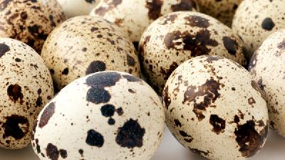鹌鹑蛋吃了会不会发胖 鹌鹑蛋和鸡蛋哪个热量高