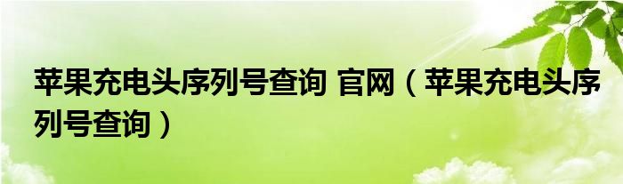  苹果充电头序列号查询 官网