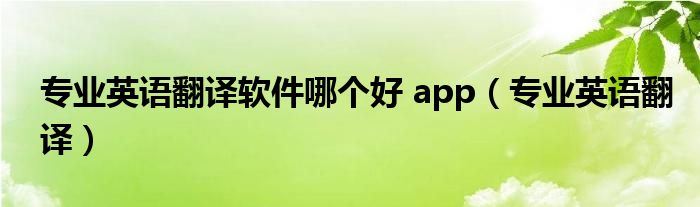  专业英语翻译软件哪个好 app