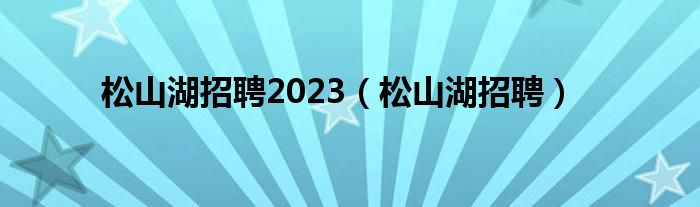  松山湖招聘2023