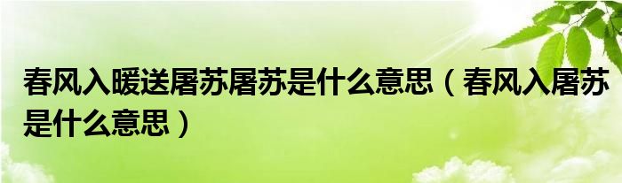  春风入暖送屠苏屠苏是什么意思