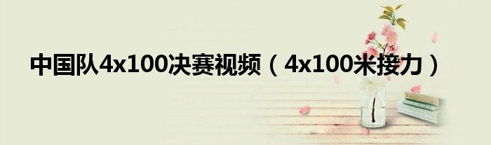  中国队4x100决赛视频