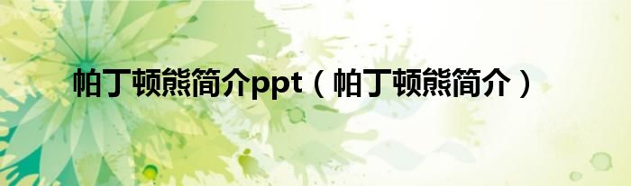  帕丁顿熊简介ppt