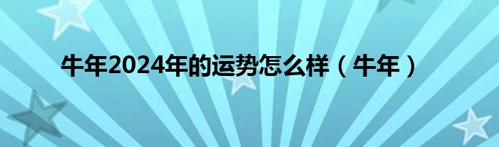  牛年2024年的运势怎么样