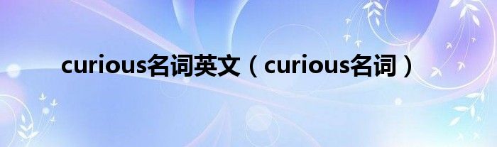  curious名词英文