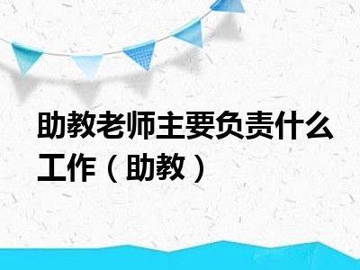 助教老师主要负责什么工作