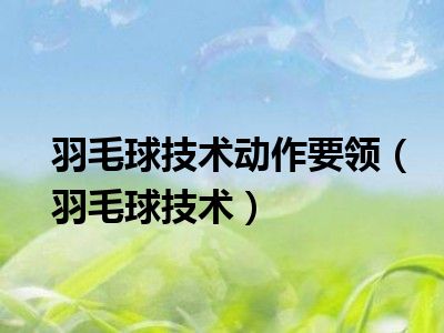 羽毛球技术动作要领