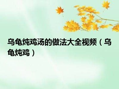 乌龟炖鸡汤的做法大全视频