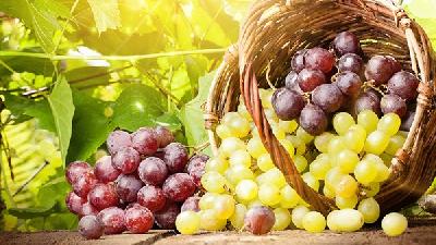 葡萄不能和什么一起吃 减肥期间能吃葡萄吗