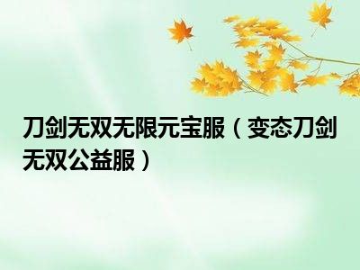 刀剑无双无限元宝服