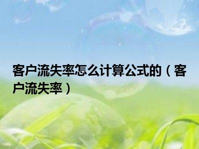 客户流失率怎么计算公式的