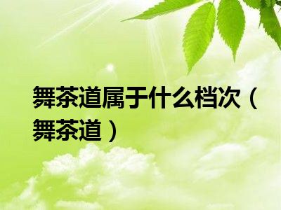 舞茶道属于什么档次