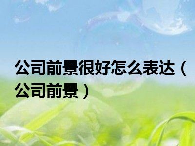 公司前景很好怎么表达