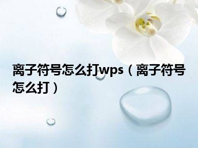 离子符号怎么打wps