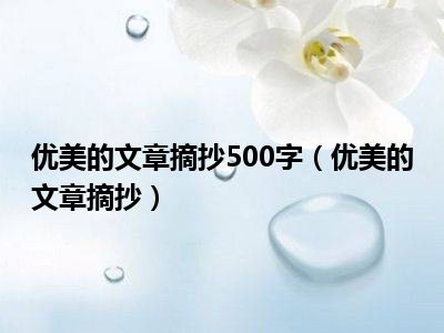 优美的文章摘抄500字