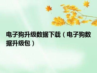 电子狗升级数据下载